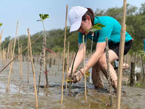 1 Ticket, 1 Tree: Cathay Pacific leads the way to go Greener Together by planting 6,000 mangrove trees in Thailand