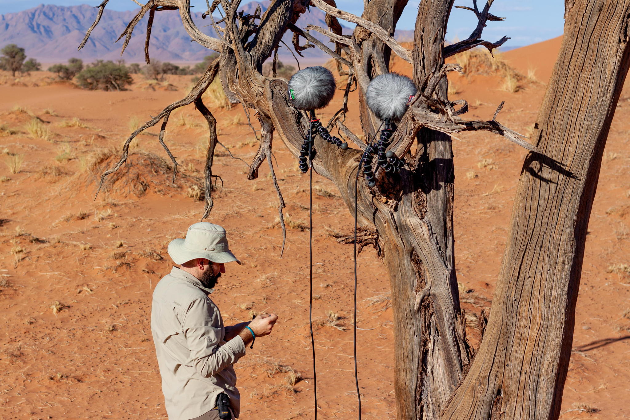 George's favourite recording rig employs four MKH 8020s placed around a tree – a head-related recording George's favourite recording rig employs four MKH 8020s placed around a tree – a head-related recording