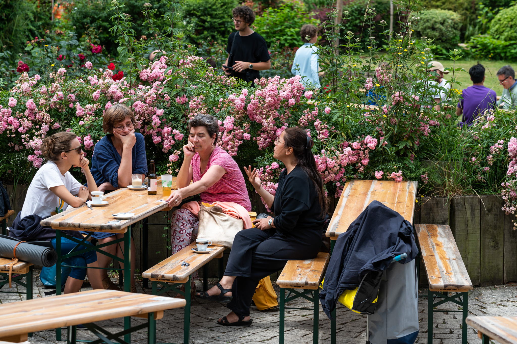 Outdoor cafés to return to Brussels parks by end of April