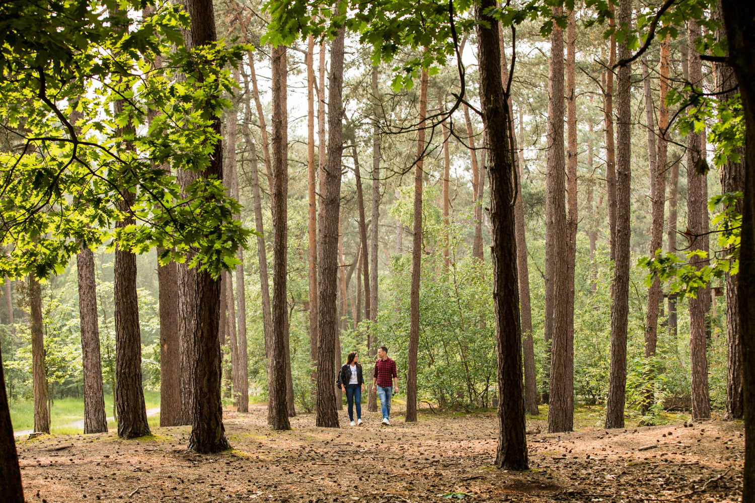 Grenspark Kalmthout 