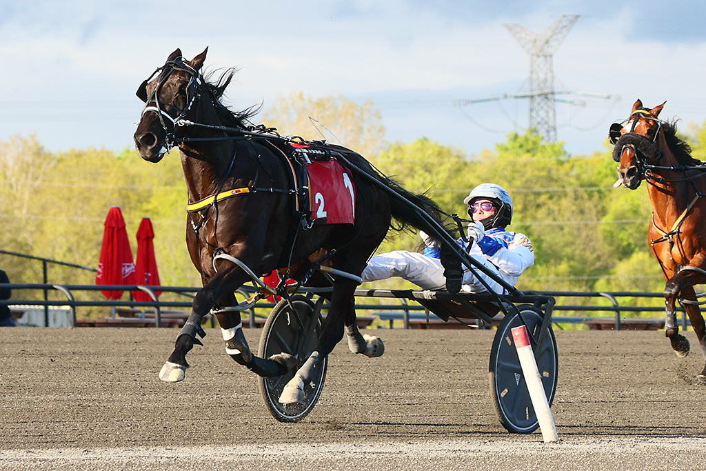 Chantilly, pictured winning an OSS Gold on May 24 at Woodbine Mohawk Park, remains number four in the rankings as the only filly ever nominated to the Pepsi North America Cup. (New Image Media) Chantilly, pictured winning an OSS Gold on May 24 at Woodbine Mohawk Park, remains number four in the rankings as the only filly ever nominated to the Pepsi North America Cup. (New Image Media)