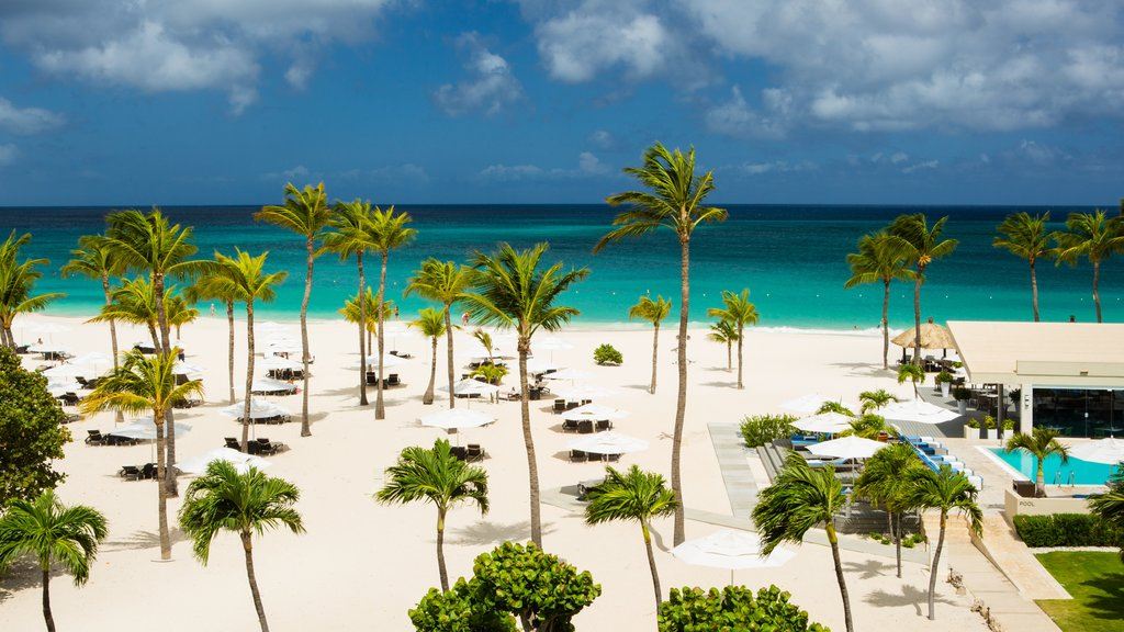 (c) Aruba Tourism Authority