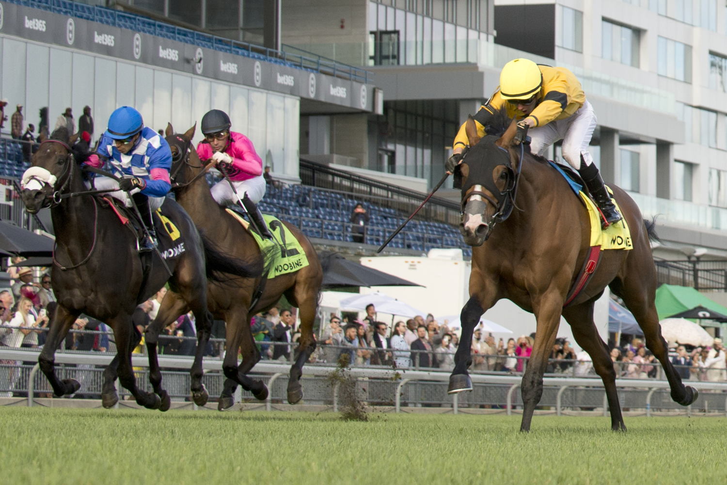 Lac Macaza and jockey Pietro Moran winning the Niagara Stakes Presented by The Greenwood Stakes on September 7, 2024 at Woodbine (Michael Burns Photo)