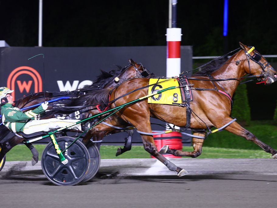 Brue Hanover strikes gold in Mohawk Gold Cup