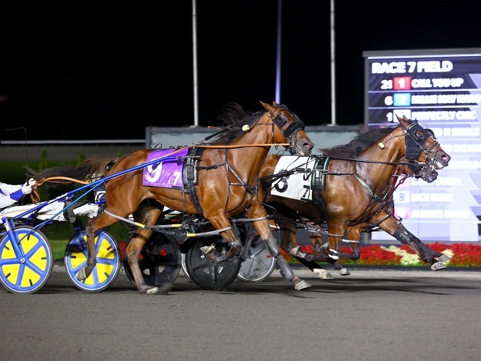 Perfectly Chic, Fabulous Hanover Collect Friday Mohawk Grand Circuit Prizes