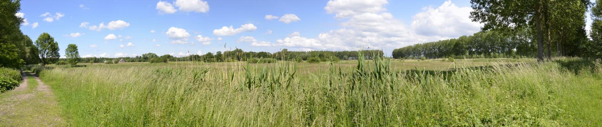 Zicht op projectgebied Kalvekant