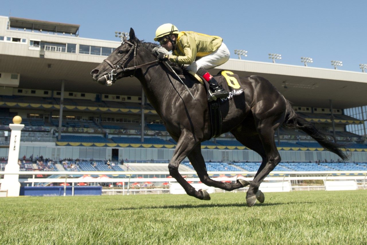 Silent Runner winning the Lake Huron. (Michael Burns photo)