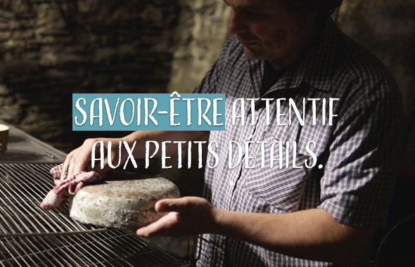 Hungry Minds and local cheeses, a story of know-how