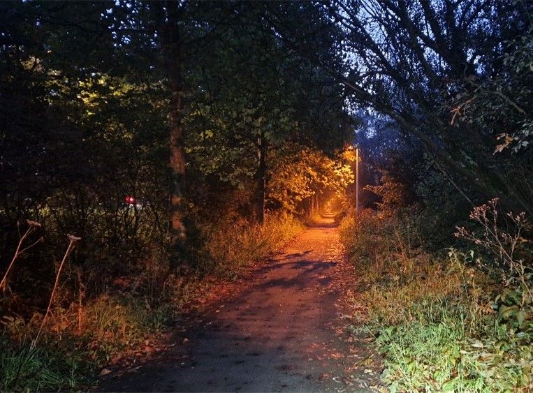 De verlichting aan de Bosbaan in Liedekerke.