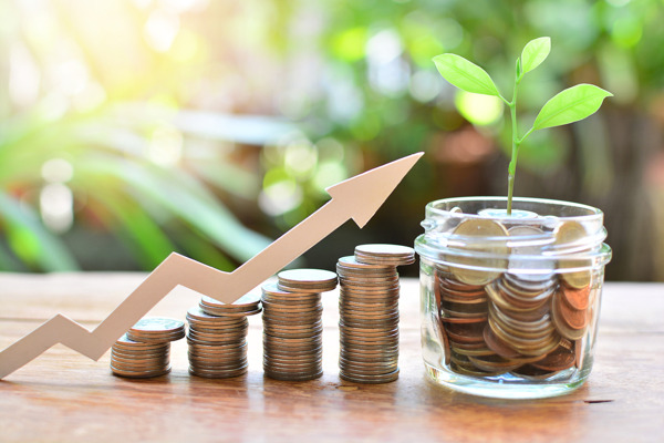 Vinie