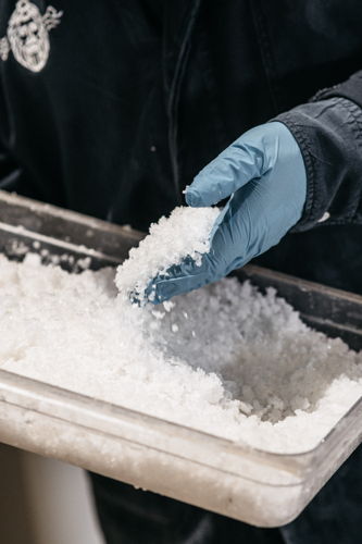 Zeeuwsche Zoute produceert rond de 200 kilo zout per maand (Fotocredit: Puck van Elswijk fotografie)
