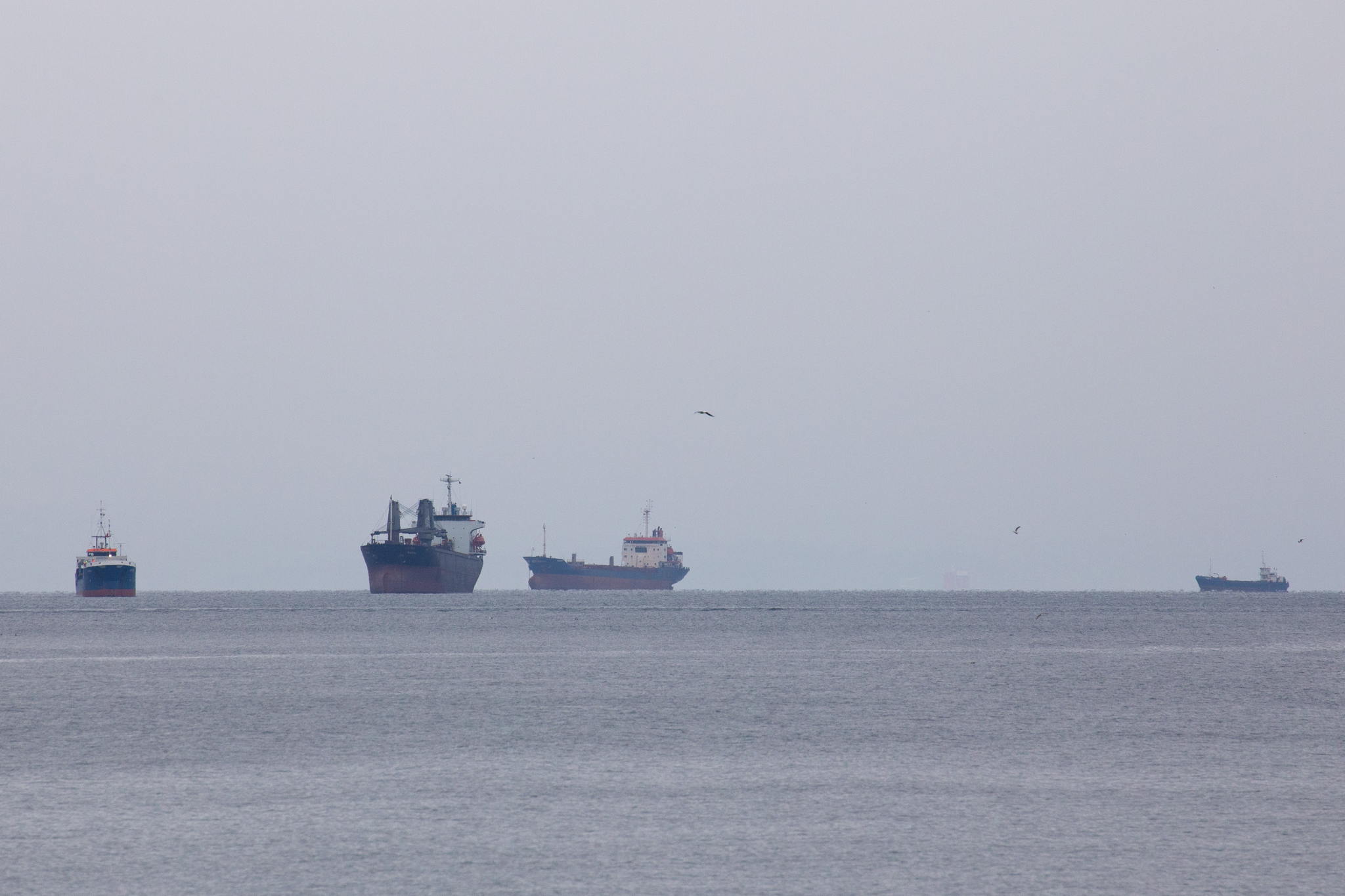 Belgium will only support mission in Strait of Hormuz after ceasefire and international mandate