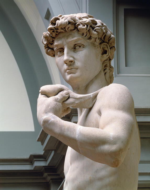 "David"  (detail). AKG244426 © akg-images / Rabatti & Domingie