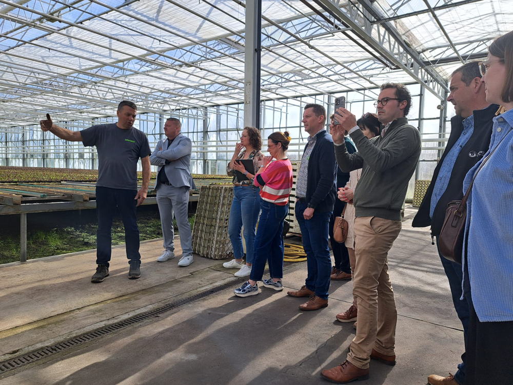 Slabedrijf in Sint-Katelijne-Waver