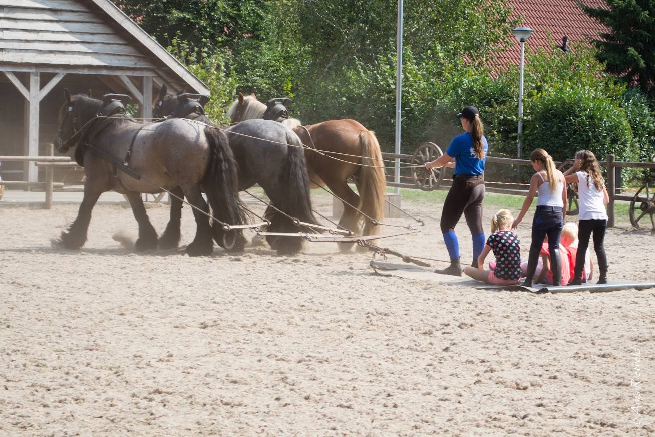 Landal Landa van Bartje Vliegend Tapijt