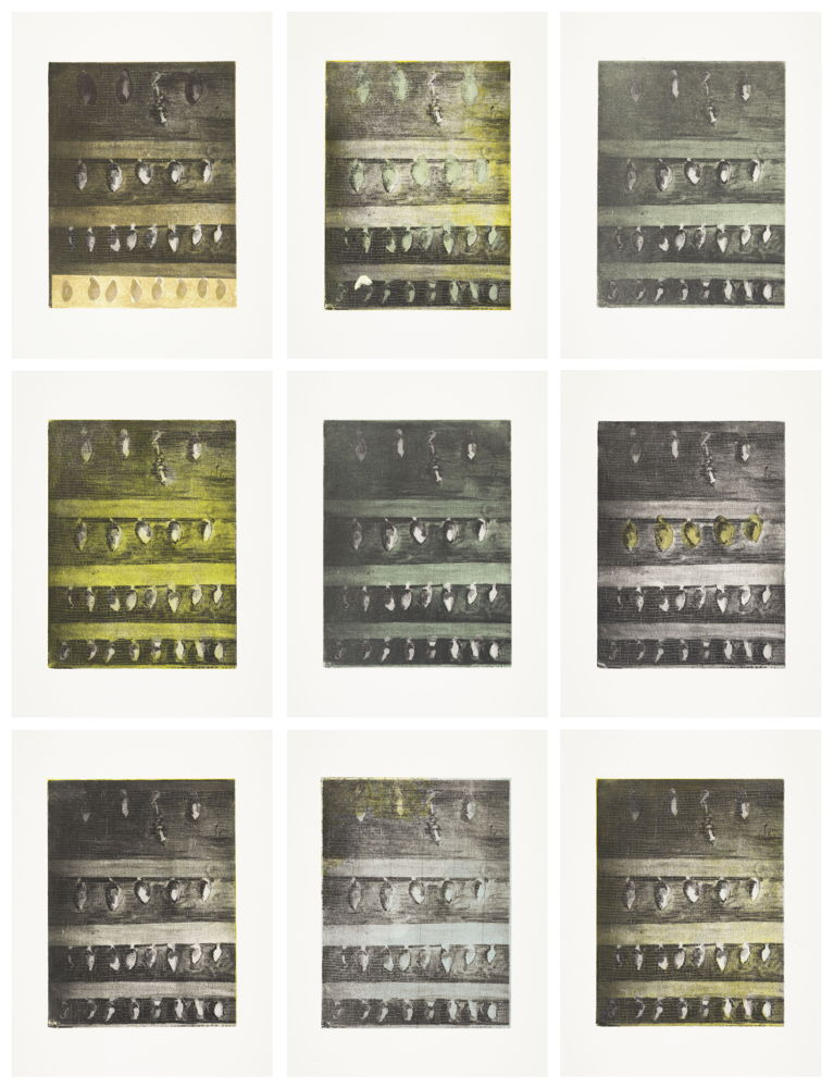 Nuyts Leen, Cocon (9 drukken die 1 geheel vormen), Aquatint + fotopolymeerets + chine collé, 275 x 210 (x9); 