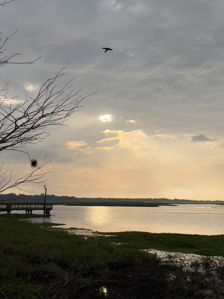 Lake Toho