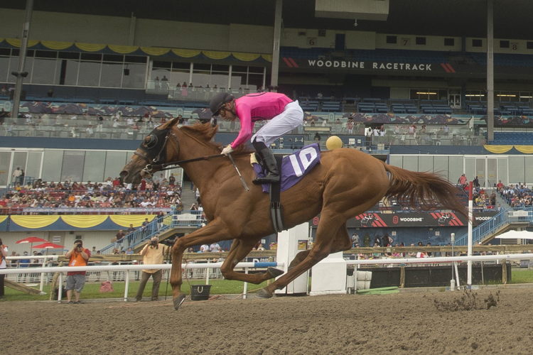 Solo Album and jockey Sahin Civaci winning the Selene Stakes on July 1, 2023 at Woodbine (Michael Burns Photo)