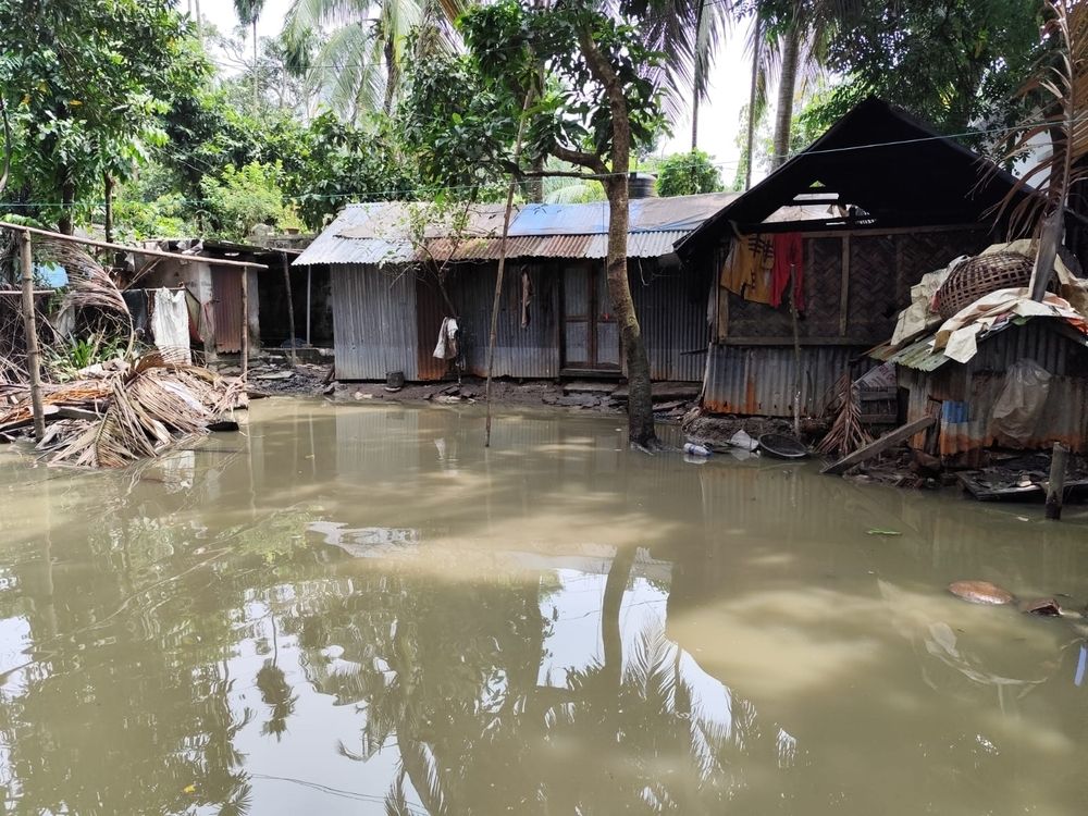 Due to flash flooding in Noakhali, houses, crops and roads were damaged. A yard of a village in Noakhali is submerged by floodwater | Date taken: 18/09/2024 | Photographer: Farah Tanjee | Location: Bangladesh