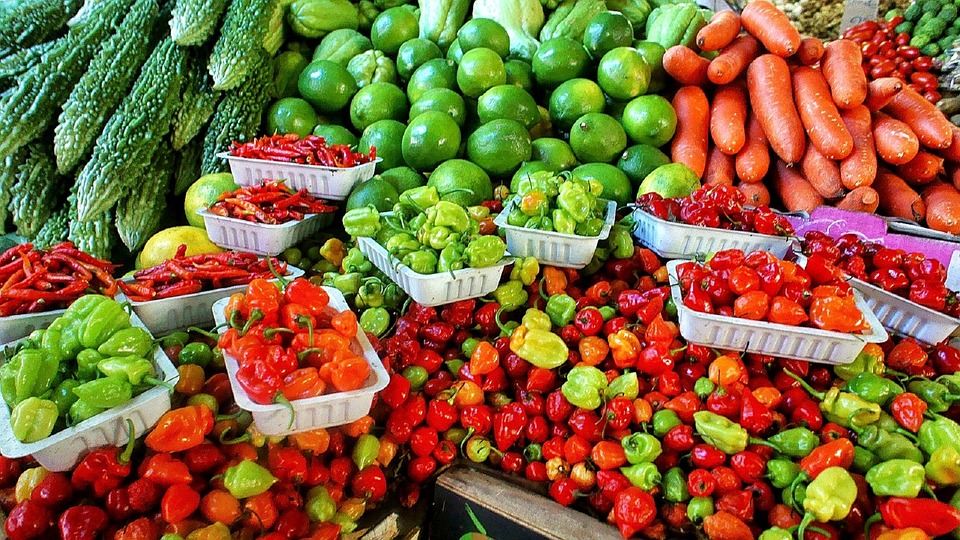 Typical OECS produce