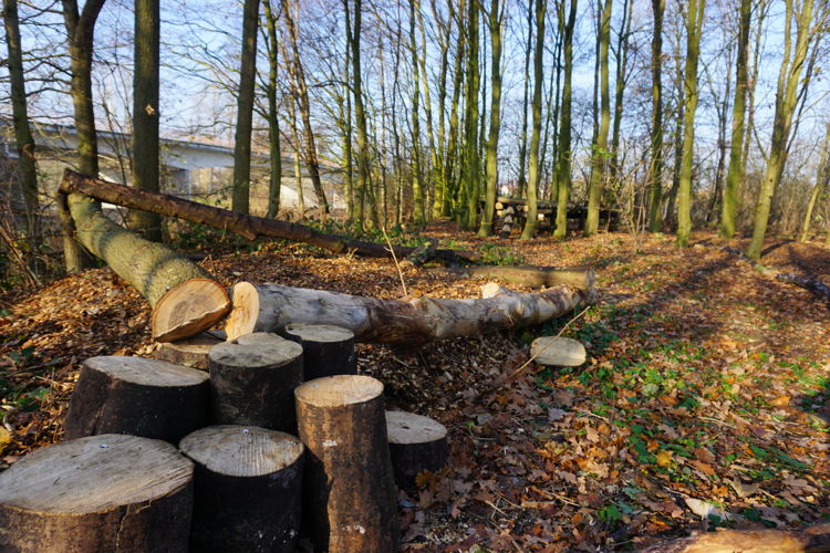 De Gavers Speelbos 