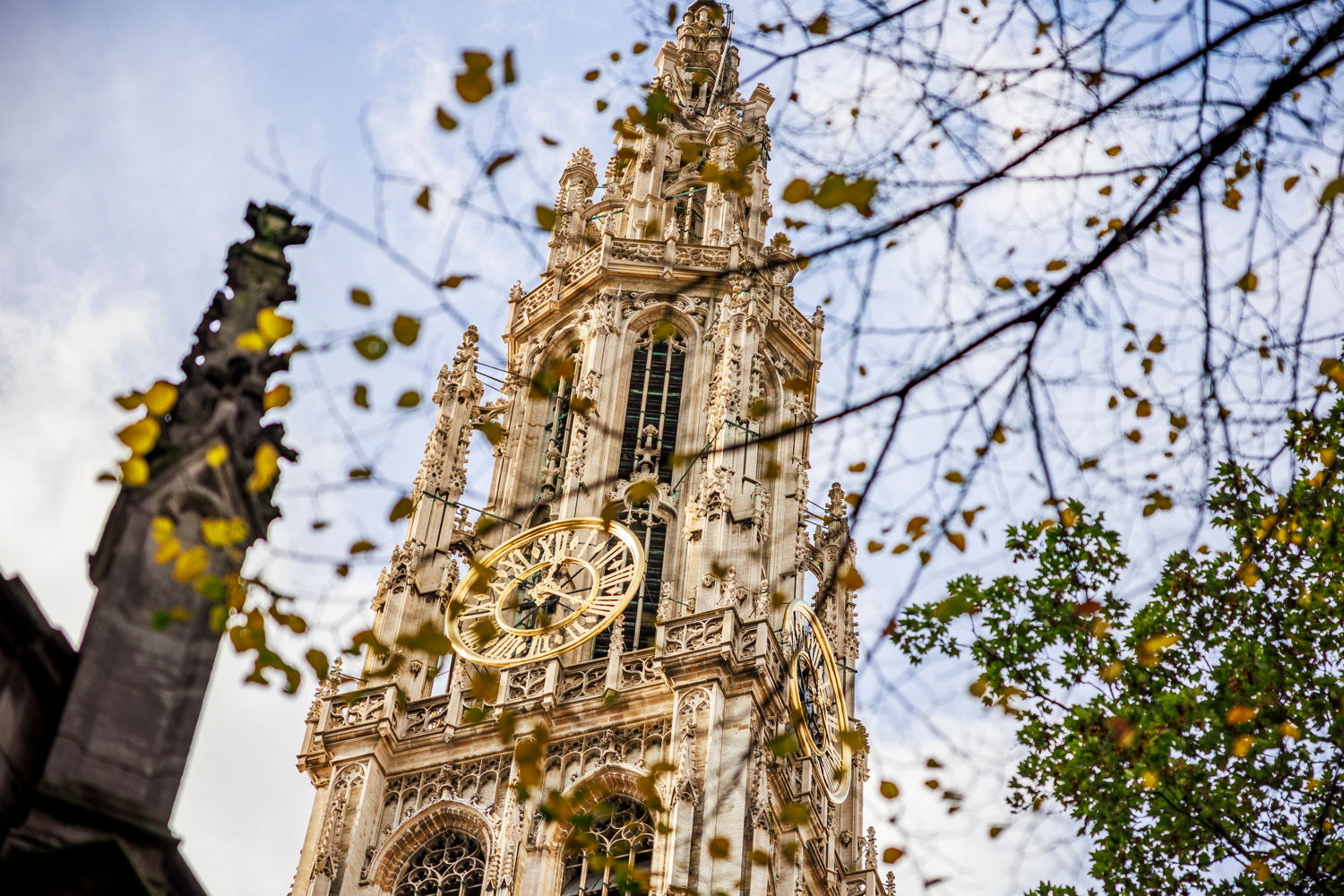Kathedraal (c) Victoriano Moreno