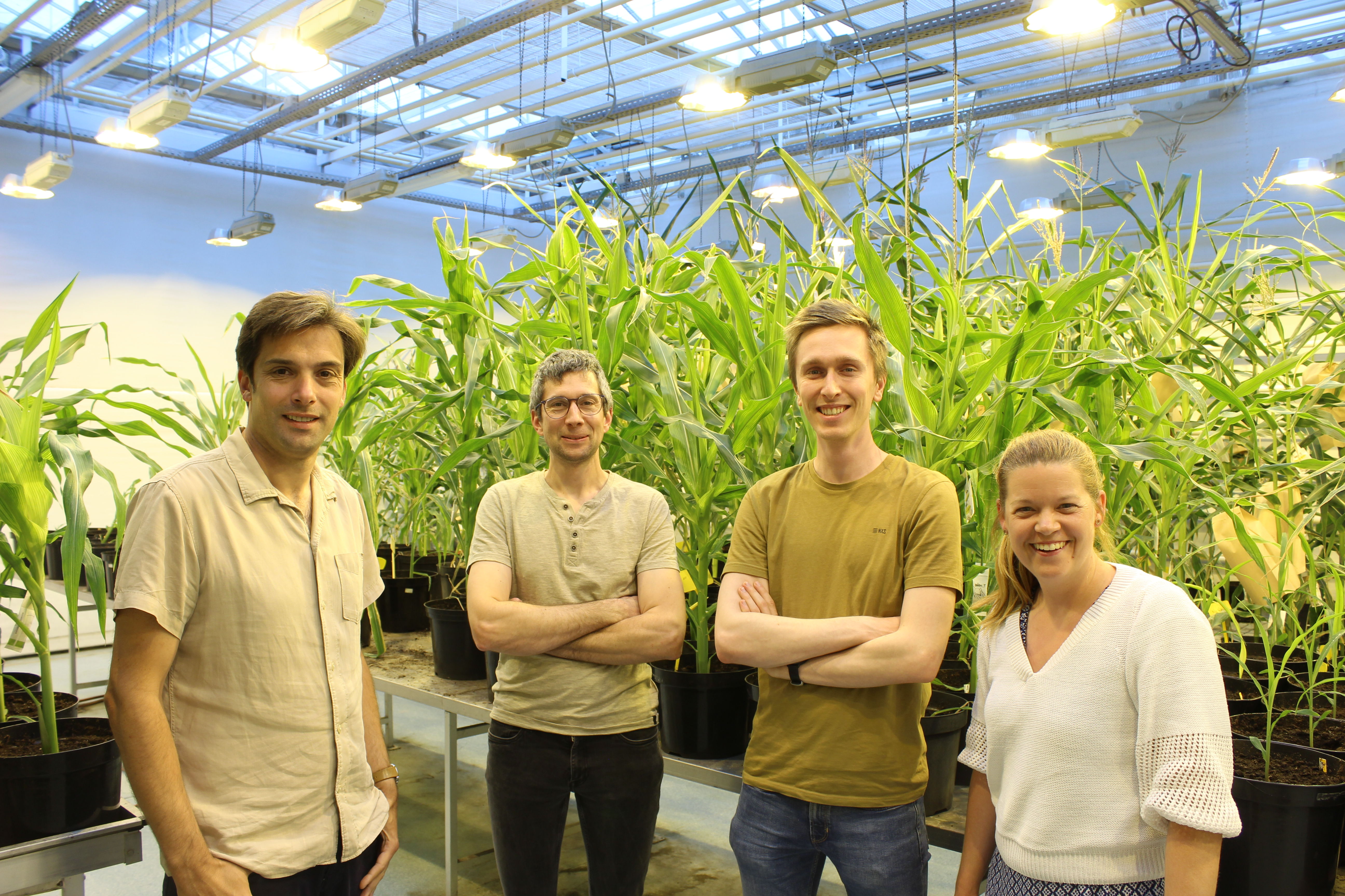 Part of the research team, from left to right: Laurens Pauwels, ​ Stijn Aesaert, Wout Vandeputte, and ​ Griet Coussens