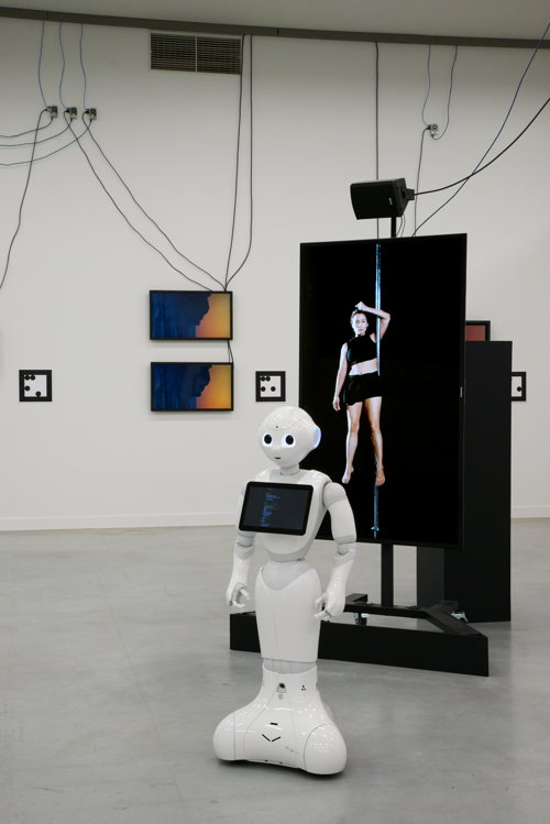 (c) Dirk Pauwels
