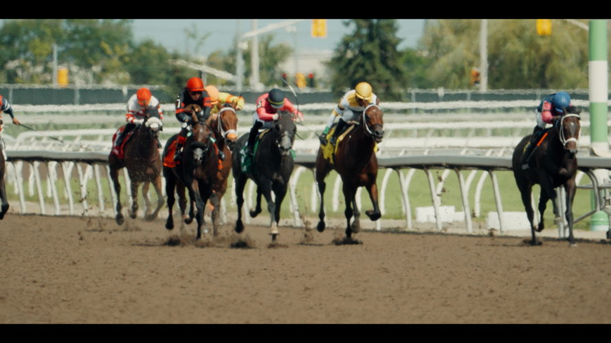 Woodbine: Free Rein 