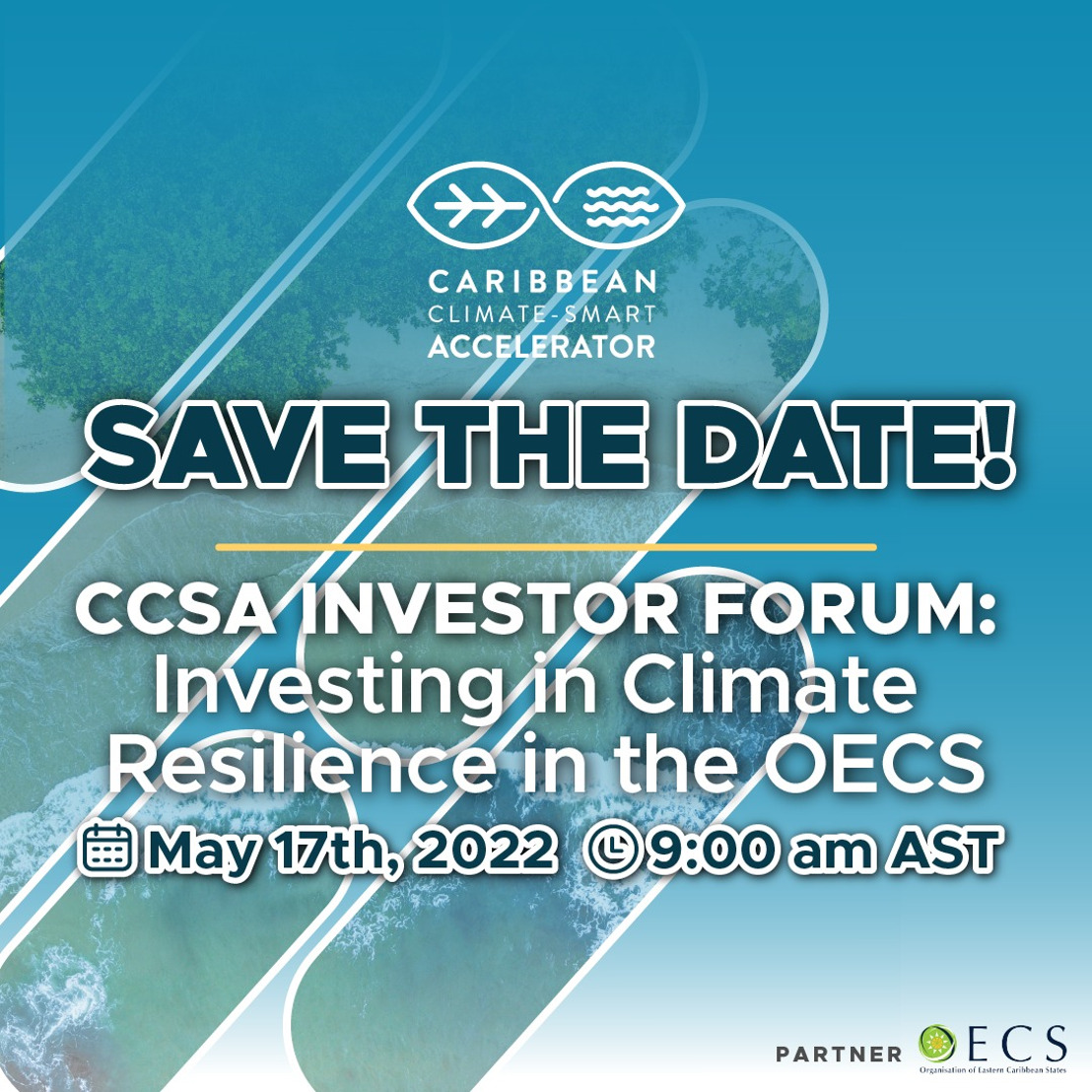 OECS partners with CCSA for Investor Forum on 17th May 2022