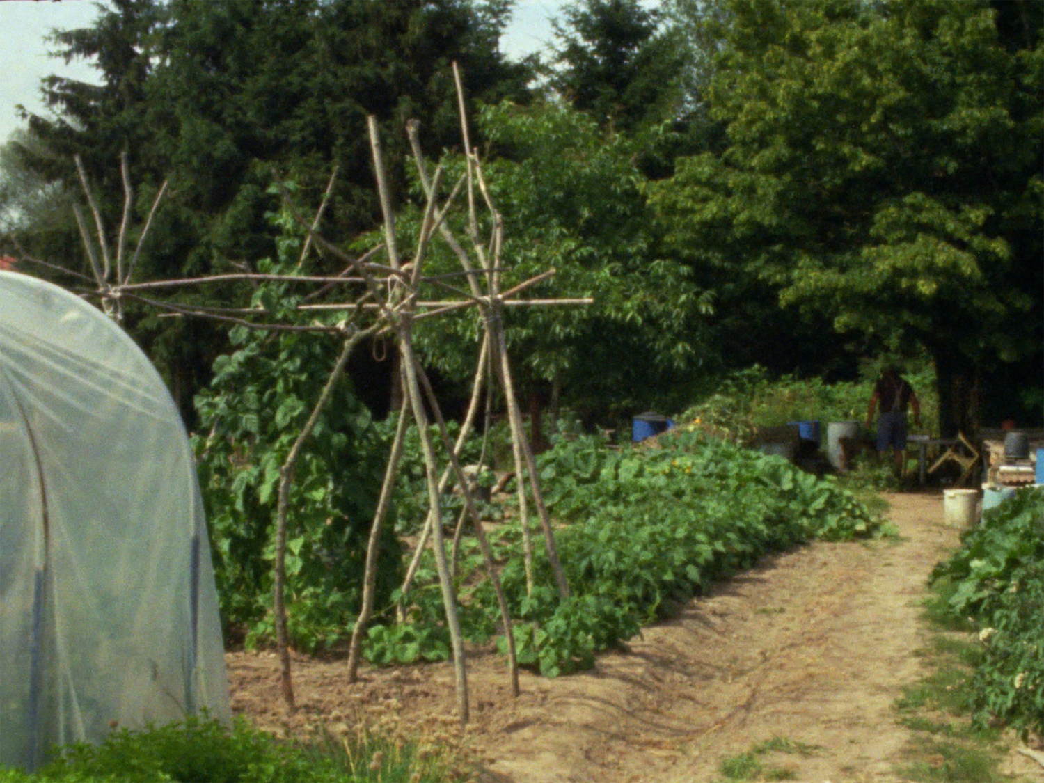 'Lomme´s garden’ (still), Eva Claus, 2024