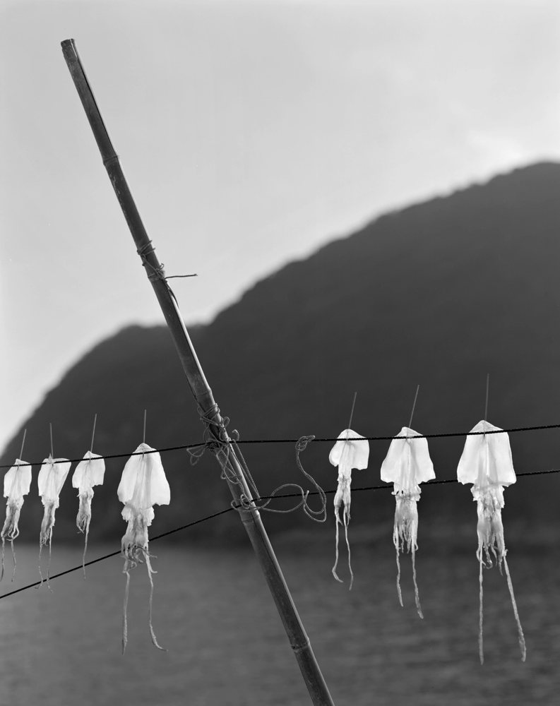 Gerry Johansson, Torkad Bläckfisk, Uchimi Village, Ehime, Japan, 1999