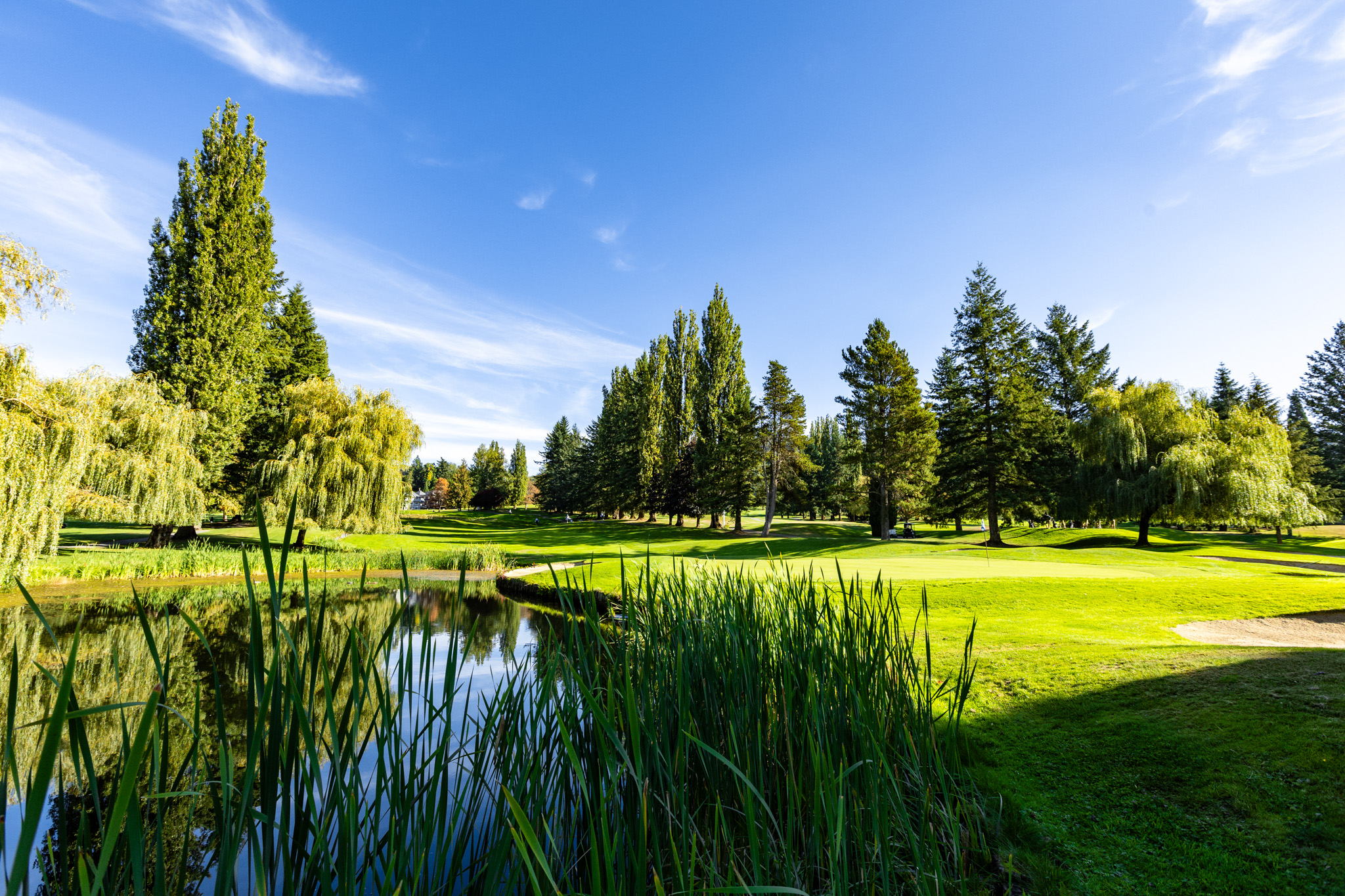 Ledgeview Golf Club will host the 2023 CW Golf Championships. Ledgeview Golf Club will host the 2023 CW Golf Championships.