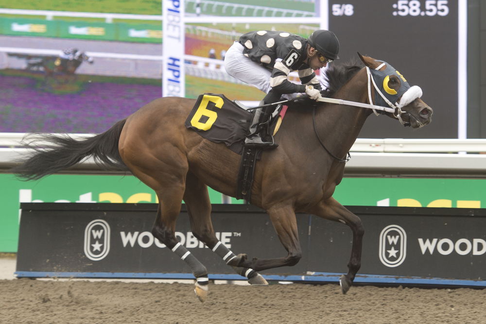 Just Follow Me and jockey Sahin Civaci winning Race 5 on June 8, 2024 at Woodbine (Michael Burns Photo)