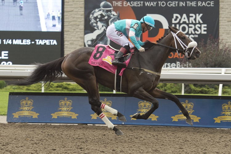 Moira and Rafael Hernandez winning the 163rd running of The Queen's Plate on Sunday at Woodbine Racetrack. (Michael Burns Photo)