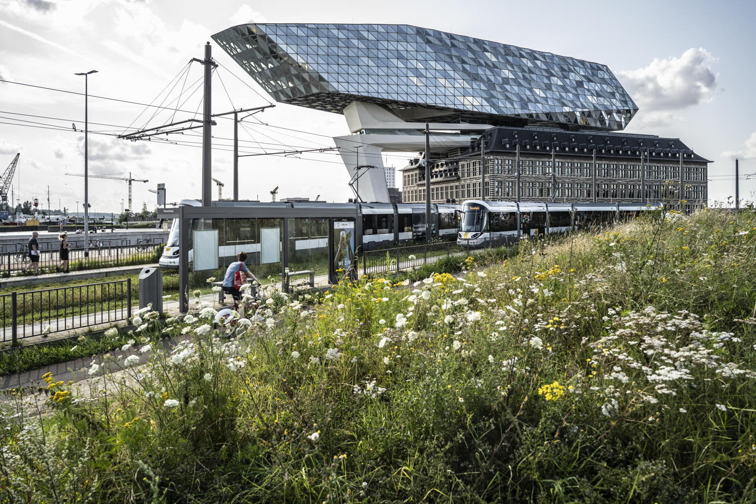 Tram in Antwerpen