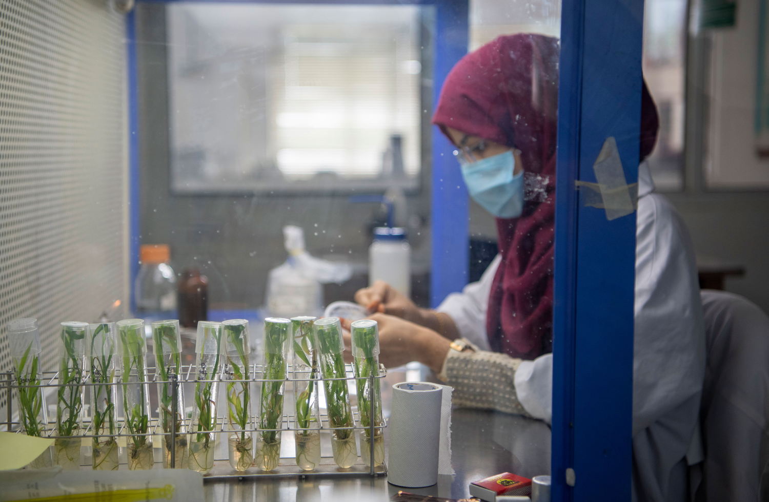 Accelerated Crop Improvement lab for plant protection.