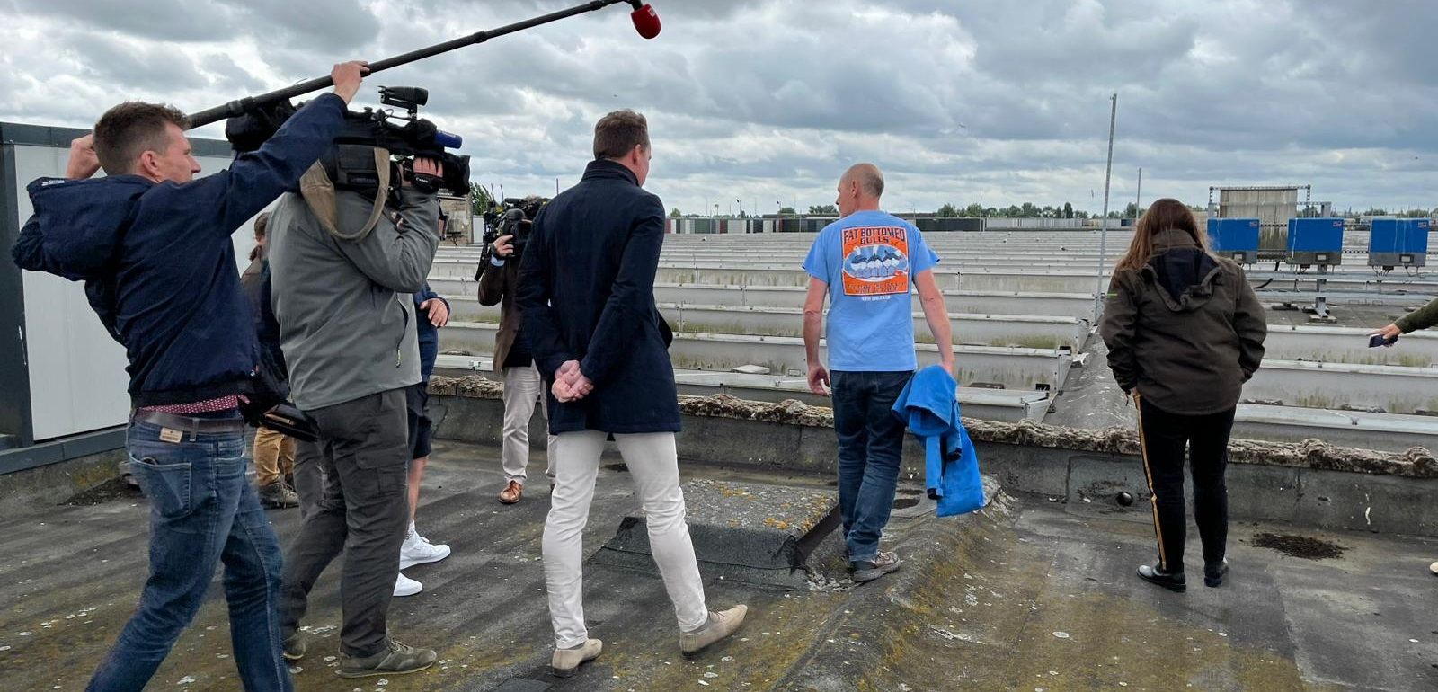 Op interventie met het meeuwenteam: beheerregeling pakt overlast door meeuwen structureel aan
