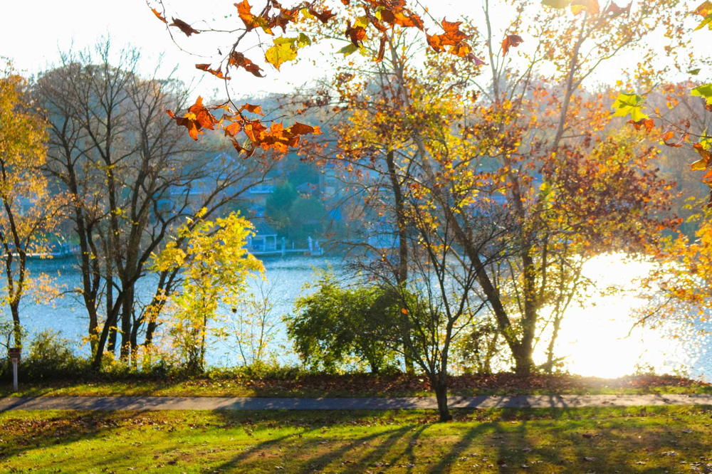 Lorton, VA