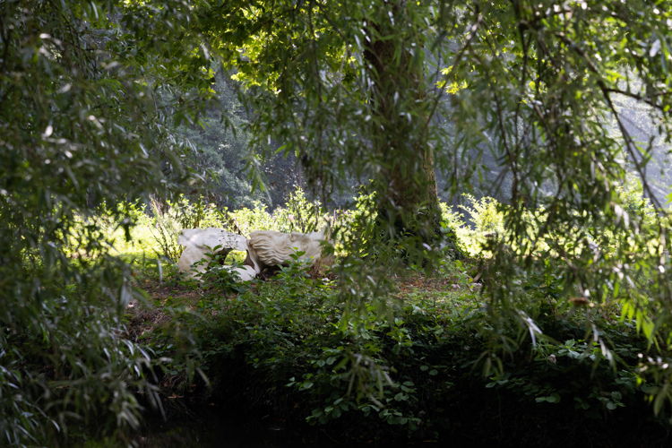 Domein Calmeyn © Bea Borgers-13