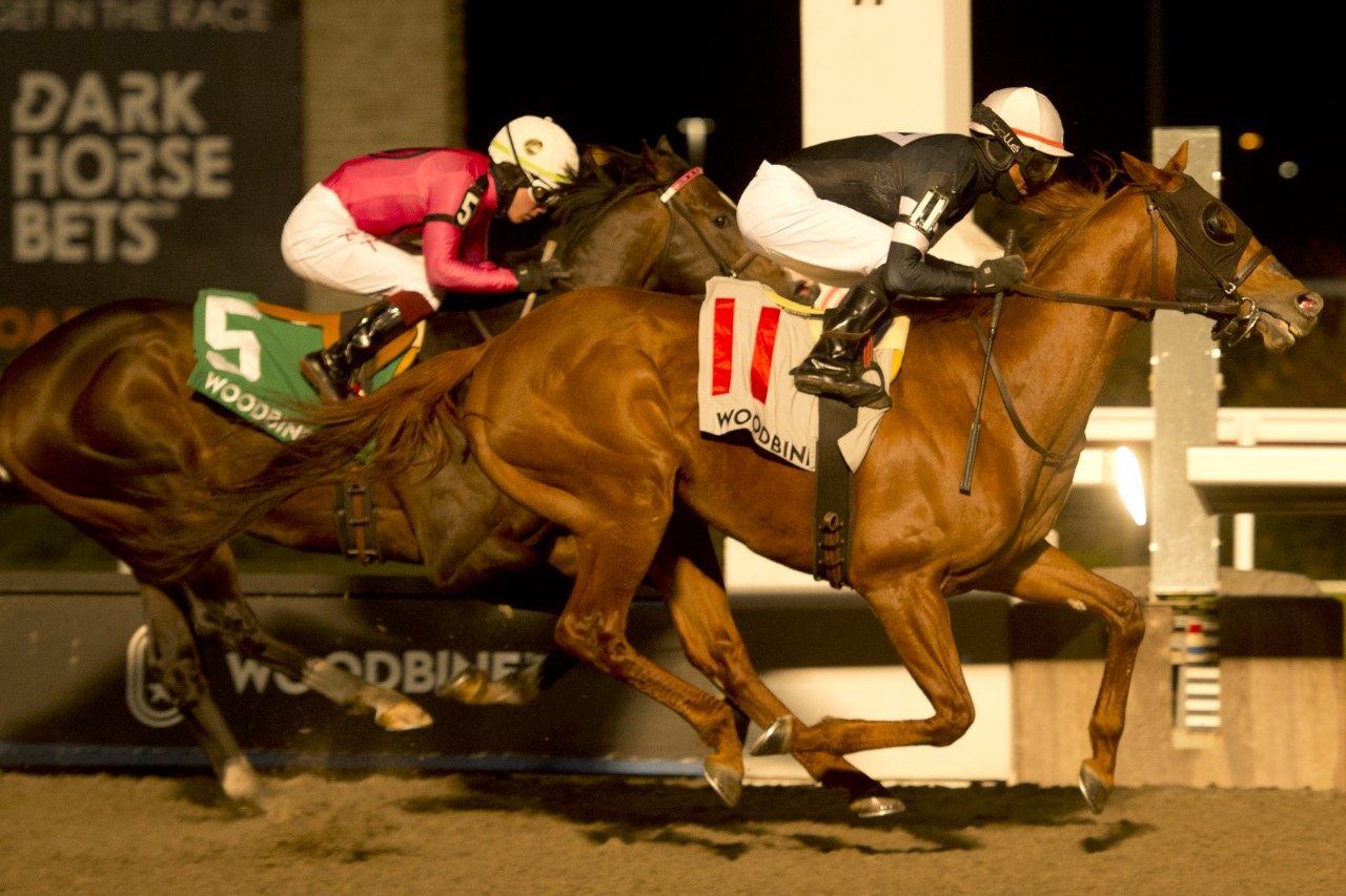 Patrick Husbands, in possibly his final career victory, guides Sir Winston to the winner's circle capturing the Grade 3 Valedictory Stakes at Woodbine. (Michael Burns Photo)