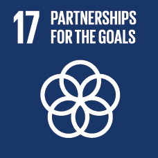 This work aligns with SDG 17. 