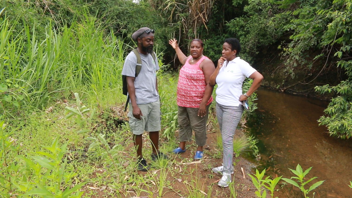 Representatives from the Environmental Sustainability Cluster of the OECS Commission and the Forestry Department of the Government of Saint Lucia engage Malgretoute Community resident.