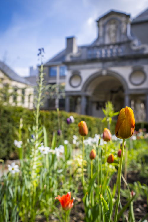 Tuin Rubenshuis (detailbeeld), foto Frederik Beyers 