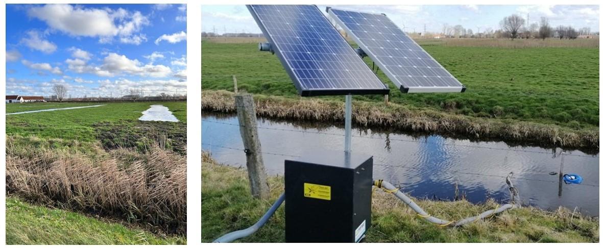 Een weiland kun je vernatten door de laantjes te onderhouden en door de verbinding met een waterloop dicht te maken. Via een plasdraspomp op zonnepanelen kan het weiland permanent nat blijven. Dat is twee keer winst: de bodem houdt meer water vast, en weidevogels krijgen extra leefgebied. ​ Foto's: Stijn De Winter, Regionaal Landschap Houtland en Polders