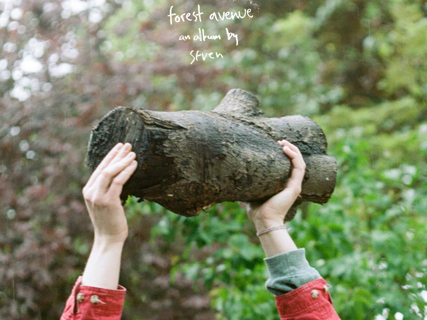 Sfven - forest avenue