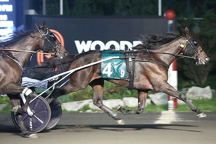 When Dovescry winning the 2021 Armbro Flight. (New Image Media)