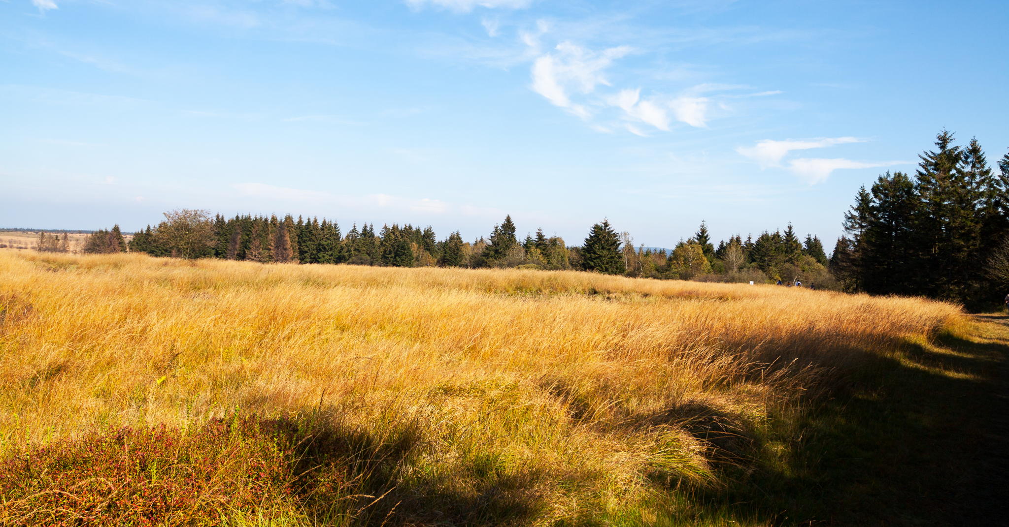 Hungry Minds se lance sur les pistes cachées des Hautes Fagnes