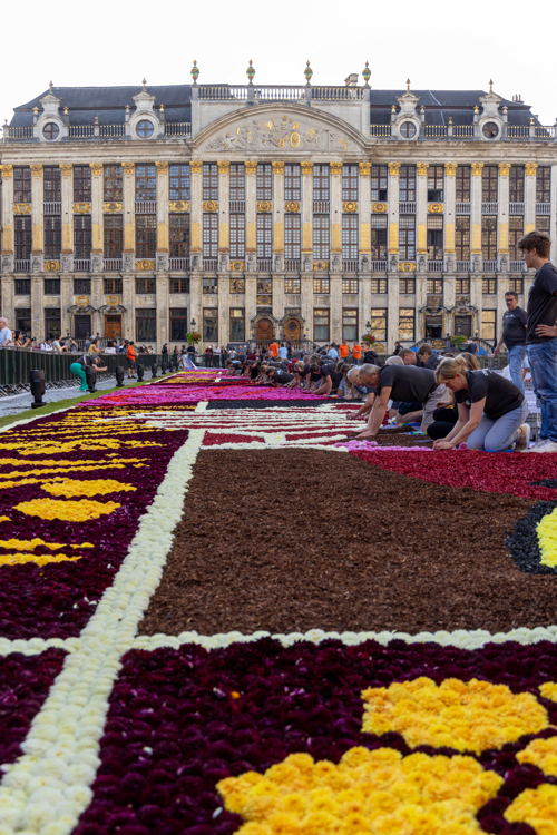 ©asbl_FlowerCarpet_FabianDeBacker