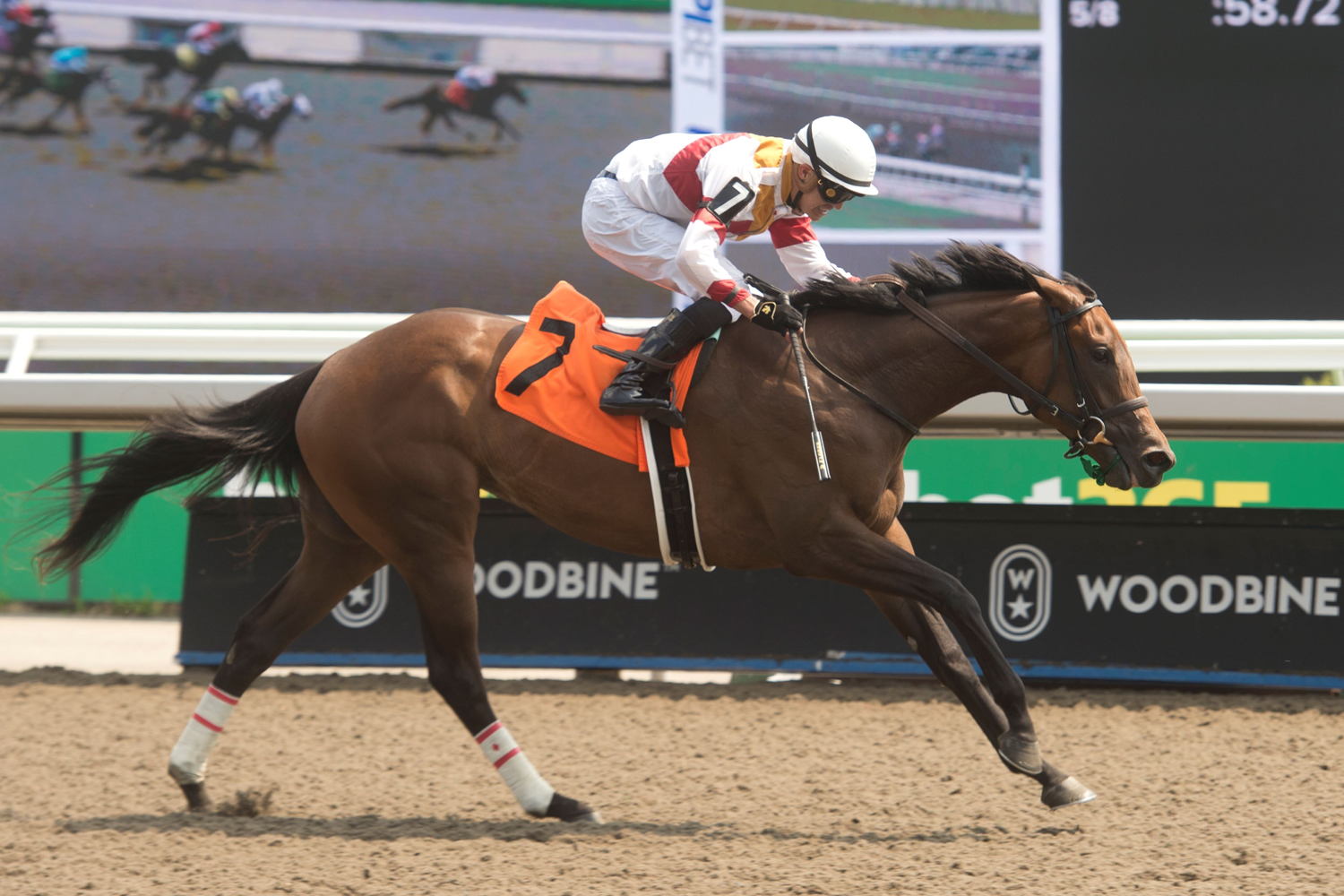 Crystal Visions and jockey Eswan Flores wearing Brent McLellan's silks (Michael Burns Photo)